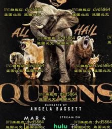 DVD 紀錄片【後疫情時代/後疫情時代中國的逆境生機：日本導演探訪中國產值暴漲的企業】2021年日語 /中字 歷史價格詳細信息