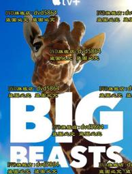 DVD 紀錄片【動物成長】2021年英語 /中字 歷史價格詳細信息