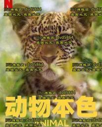 DVD 海陸悍將1~6(六片合售) DVD台灣正版 二手 WWE摔角巨星&lt;戰略陰謀&gt;&lt;鍋蓋頭&gt;&lt;衝出封鎖線&gt;&lt;戰雲密佈&gt; 歷史價格詳細信息