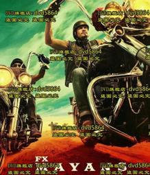 DVD 歐美劇【邊隧謎案/隧道謎案】2017年英語 /中字 歷史價格詳細信息