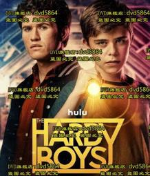 DVD 歐美劇【兄弟有你就知足/Bros】2024年希伯來語/中字 歷史價格詳細信息