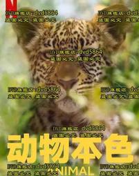 DVD 海陸悍將1~6(六片合售) DVD台灣正版 二手 WWE摔角巨星&lt;戰略陰謀&gt;&lt;鍋蓋頭&gt;&lt;衝出封鎖線&gt;&lt;戰雲密佈&gt; 歷史價格詳細信息