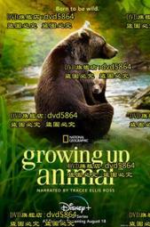 動物成長故事英語進階有聲讀物 (第4級上) 麗貝卡.約翰遜 9787521334746 【台灣高等教育出版社】 歷史價格詳細信息