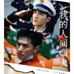 火爆楊冪 925銀鍍金  氣質洋氣中國風新款  天然陽綠葫蘆耳環 歷史價格詳細信息