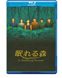 沈睡的森林 野澤尚 虛線的惡意 沒有城堡的人作者 東販 歷史價格詳細信息