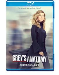 【實習醫生格蕾】1-19季全優盤發貨64G*7中文字幕MP4格式兼容性好 歷史價格詳細信息