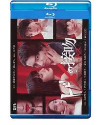 穿越時空的兒童藝術之旅：走進名畫看世界+這些文物太有趣（套書共二冊）/鍾華（主編）、王露（主編） 歷史價格詳細信息