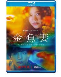 金魚2mm日本珠串珠材料包-1入~巧思串珠小舖~ 歷史價格詳細信息