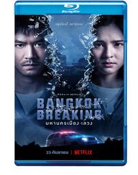 Breaking Ground: Architecture by Women -9780714879277 歷史價格詳細信息