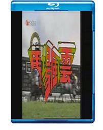 1993雲南以工代賑劵 五元十元 共十張 歷史價格詳細信息