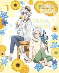 完全生產限定盤 家入里歐 Leo Ieiri LEO 2015 家入レオ 全新單曲 君がくれた夏 日本製原版 CD 歷史價格詳細信息