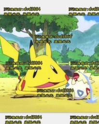 寵物精靈寶可夢杰尼龜毛絨玩具皮卡丘大眼烏龜公仔小孩生日禮物 歷史價格詳細信息