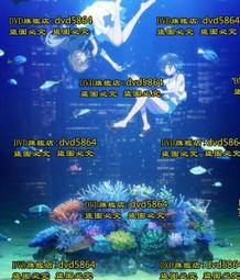 Aquatone 單氣室立式划槳 FLAME TS-312D / SUP 立槳 站浪板 槳板 水上活動 歷史價格詳細信息