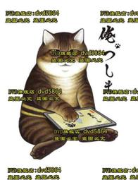 津漫 婉嫻和安 章堂澗名樅武夷巖茶大紅袍正巖茶葉高端送禮禮盒裝凌雲閣巖茶 可開發票 歷史價格詳細信息