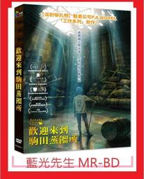 贈品DVD-親愛的我把孩子放大了+親愛的我把孩子縮小了/異形奇花.小兵立大功.親愛的我把我們縮小.魔鬼剋星-里克莫拉尼斯 歷史價格詳細信息
