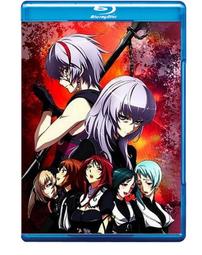 2011(6色)歐美尼龍單肩包日韓潮流運動斜挎包原創防水包少奶奶包約會包 歷史價格詳細信息