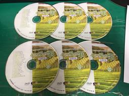 6片合售 二手裸片 DVD 韓劇 甜蜜的負荷 (沒關係爸爸的女兒) 全17集 文彩元 崔振赫 姜成 全泰秀 <Z42> 歷史價格詳細信息