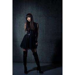 日製全新品 SMC MGPL16-30 導向氣缸 歷史價格詳細信息