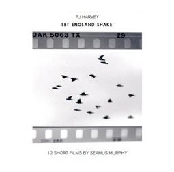 PJ 哈維：戰地拾音錄DVD 紀錄片 PJ Harvey : A Dog Called Money 台灣正版全新 歷史價格詳細信息