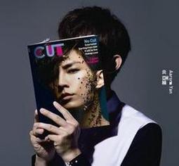 炎亞綸 下一個 CD專輯 二手 A09 歷史價格詳細信息