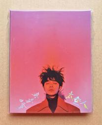 吳青峰臉貼 蘇打綠紋身貼紙 魚丁系演唱會粉絲應援周邊臉貼定做 歷史價格詳細信息