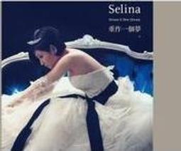 S.H.E 移動城堡演唱會 [2DVD] 有透明盒 空殼 歷史價格詳細信息