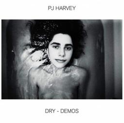 PJ 哈維：戰地拾音錄DVD 紀錄片 PJ Harvey : A Dog Called Money 台灣正版全新 歷史價格詳細信息
