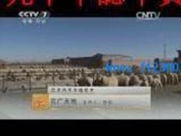 樂享購✨美牙儀冷光美白儀牙科口腔LED冷光去黃牙美牙燈美容院美白燈齒科 歷史價格詳細信息