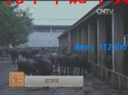 教學自粘鐵條貼片性力條軟條強力背膠黑板吸鐵石貼帶~閒雜鋪子 歷史價格詳細信息