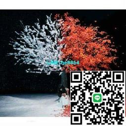 【小楊甄選】Aimer ONE  花の唄  六等星の夜 期間限定盤 CD 歷史價格詳細信息