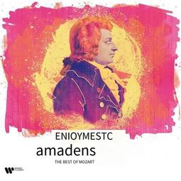 AMADUS 阿瑪迪斯洗衣機濾網.適用.AW-925 阿瑪迪斯洗衣機棉絮過濾網 歷史價格詳細信息