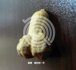 合友唱片 面交 自取 一日一生 Labor Day 全新正版 DVD 凱特溫斯蕾、喬許布洛林 面交 自取 歷史價格詳細信息