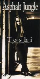 toshi KUBOTA 久保田利伸 1995年英文專輯 sunshine moonlight 歷史價格詳細信息