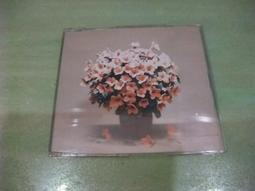 樂庭(日文)太陽與月亮(Taiyo＆Ciscomoon)(本多RuRu)-宇宙La Ta Ta:日版小CD單曲 歷史價格詳細信息