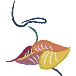 【SANO】鮮彩活氧去污去漬精( 除異味/抗菌/衣物增亮)  (以色列原裝進口) 歷史價格詳細信息