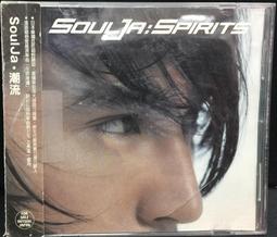 片況佳。微微小細紋《知念里奈 / Rina Chinen：Growing》附歌詞 歷史價格詳細信息