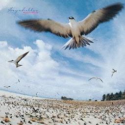 全新日影《正義雙俠》DVD 櫻井翔 福田紗紀 深田恭子 阿部貞夫 歷史價格詳細信息