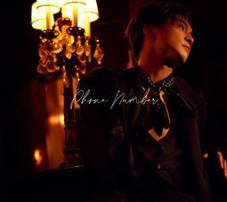 (代訂)4988031754412 Ado 5周年 BEST專輯「Adoのベストアドバム」完全數量限定吊飾盤 歷史價格詳細信息