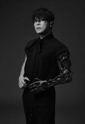 2號店佛珠正宗印度小葉紫檀108顆佛珠男女手鏈老料滿金星手串檀香念珠特選 歷史價格詳細信息