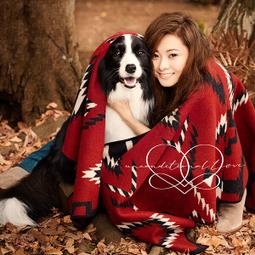 代訂 倉木麻衣 unconditional LOVE <Musing&FC盤> + 官網雙購特典海報 歷史價格詳細信息