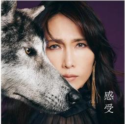 工藤靜香 / 感受 35th Anniversary self-cover album Shizuka Kudo 歷史價格詳細信息