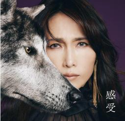 【KUDOS】手提尼龍布尺 玻璃纖維布尺 布尺 量尺 歷史價格詳細信息