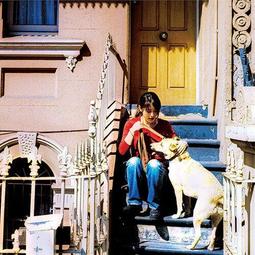 代購 坂井泉水 ZARD 30週年紀念 Remasterd重製盤 30周年YEAR企画！30th 全11盤CD 一挙発売 歷史價格詳細信息