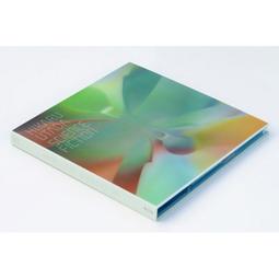 完全生產限定盤 家入里歐 Leo Ieiri LEO 2015 家入レオ 全新單曲 君がくれた夏 日本製原版 CD 歷史價格詳細信息