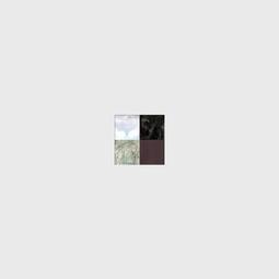 代訂 Aimer Open &alpha; Door [CD+DVD]<初回生産限定盤B> 歷史價格詳細信息