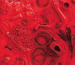 日本青森縣きんせい金星牛奶蘋果XL號｜赤秀特選28玉．最大規格 1箱(28入原裝精挑箱) 歷史價格詳細信息