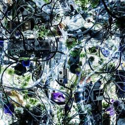 『星之漫』預購Aimer 花の唄/I beg you/春はゆく 天之杯3合1 限定 CD+DVD 歷史價格詳細信息