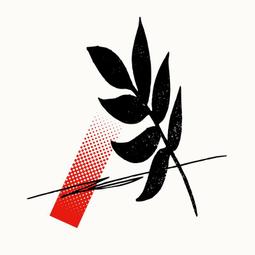 『星之漫』預購Guiano Love &amp; Music 1st Album 2CD 歷史價格詳細信息