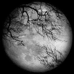 [全新未拆封] LUNA 360度 環景拍攝相機 歷史價格詳細信息