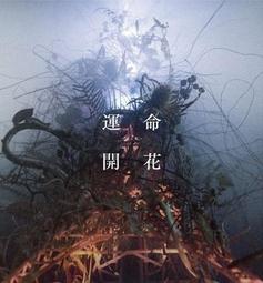 【HORN PLEASE】 北歐小屋LED燈飾 (小長屋L/小寬屋S) 桌上裝飾 陶瓷 LED 小夜燈 禮盒 歷史價格詳細信息